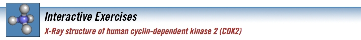 cdk2_banner.jpg