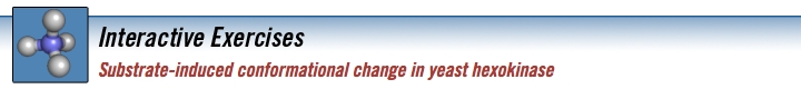 conf_chg_hexokinase_banner.jpg