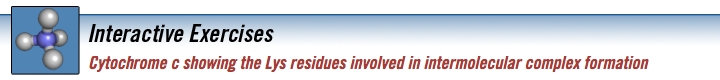 cytochromec_banner.jpg