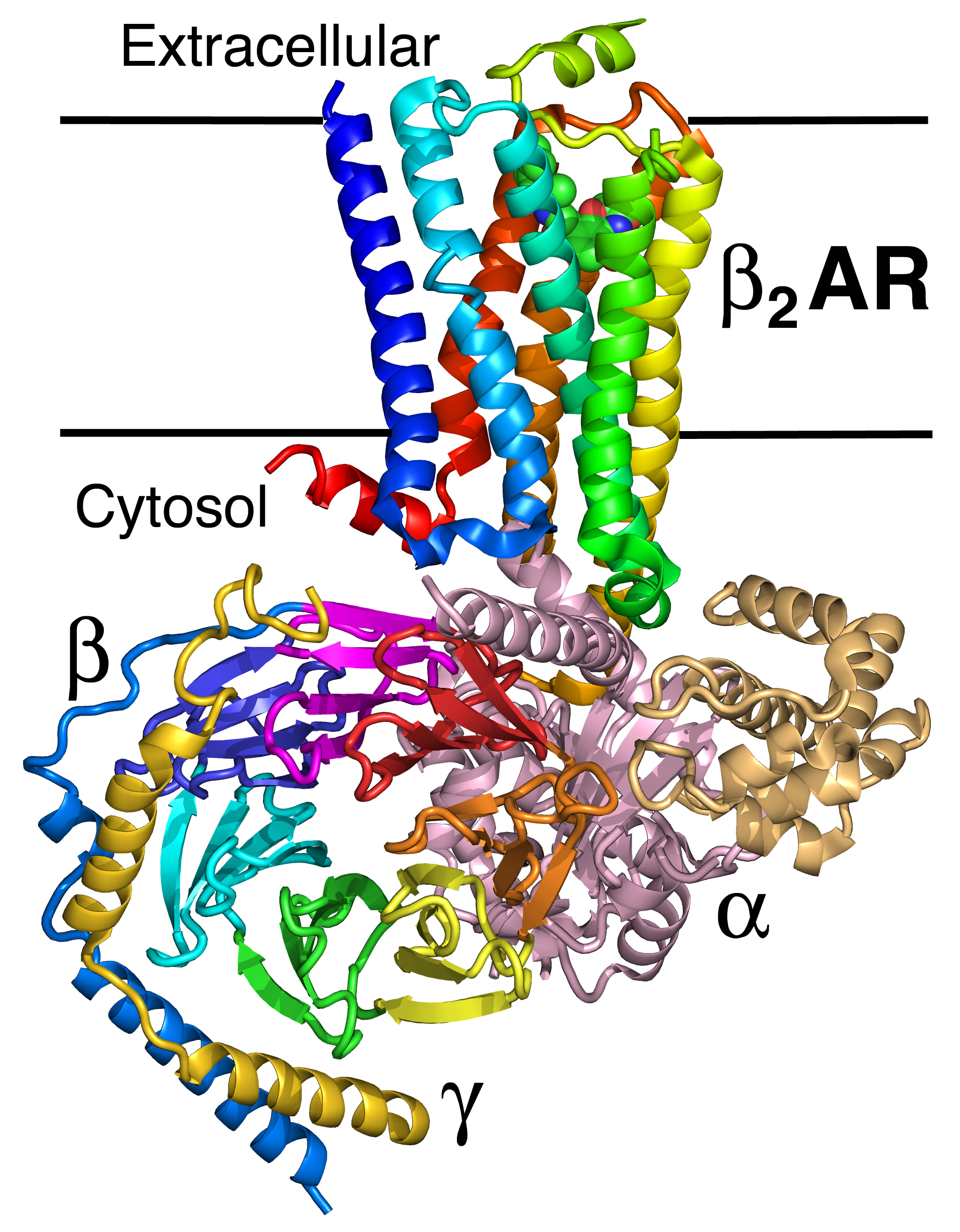 Fig.13-19b.3SN6.jpg