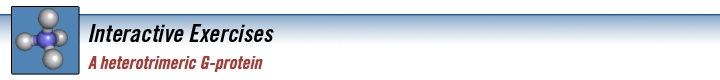 g_protein_banner.jpg