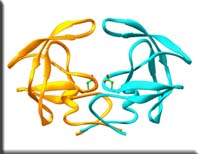 hivprotease_a.jpg