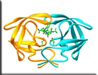hivprotease_b.jpg