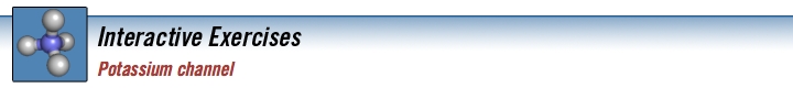 potassium_channel_banner.jpg