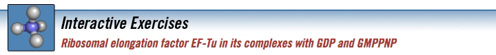 ribosomal_ef_banner.jpg