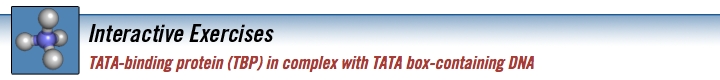 tata_binding_protein_banner.jpg