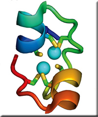yeast_gal4znfingerdomain.jpg